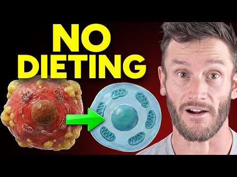 This Ends Mitochondrial Dysfunction (in days NOT years)