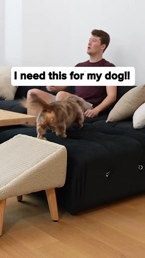 🐾 No More Clunky Pet Stairs! Your furry friend deserves comfort and style. This clever 2-in-1 ottoman doubles as a soft ramp, making every climb safe and easy. 💛 For senior or small pets 🏡 Matches any home style 🧶 Cozy bouclé fabric in Black, Gray & Beige Because your pet deserves the best seat in the house. 🛋️✨ | The Smart Home Guide