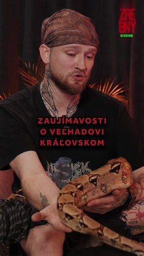 Fakty o veľhadovi kráľovskom 🫢🐍