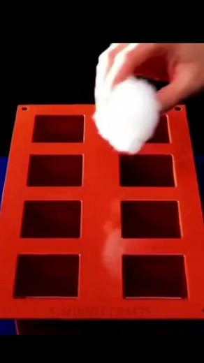 Experiment King on TikTok