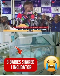 Hon. Modou Lamin Biram Bah bravely exposed the shocking state of the health sector right in front of President Barrow — revealing that three newborn babies were forced to share one incubator. This is heartbreaking and unacceptable. 😭 #Gambia #HealthCrisis #Accountability #RightToHealth #GambiaHealthSector | Sulayman Ben Suwareh