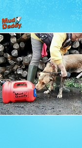 50K views · 13 reactions | Dreading dirty paws from muddy walks?  Clean up your pup and keep your home and car dirt-free with the Mud Daddy portable pet washer. ✅ Eco-Friendly & Electricity Free ✅ Silent Action Pump ✅ Water Stays Warm For 2.5 Hours Shop Now ⬇️ | Mud Daddy | Facebook