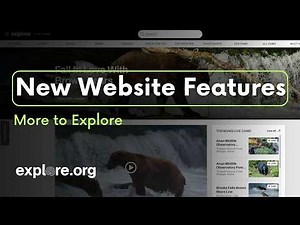 New Website Features You Don't Want to Miss | More to Explore