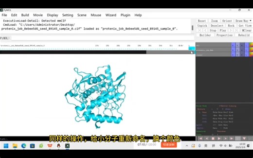用pymol进行分子对接可视化教程