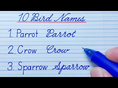 How to write 10 Bird Names in English Cursive Writing | Print & Cursive Handwriting Practice