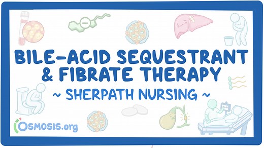 Bile-Acid Sequestrant and Fibrate Therapy: Video, Causes, & Meaning | Osmosis