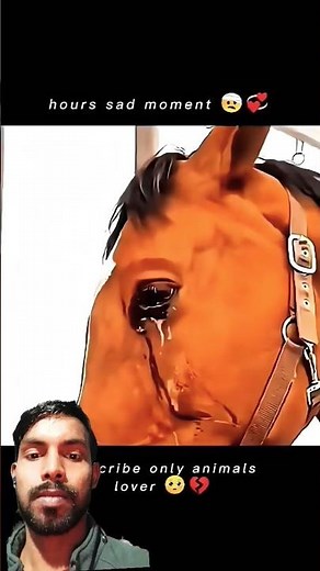 Horse Sad Moment 😢💔 | Only Animal Lovers Will Understand 🥺