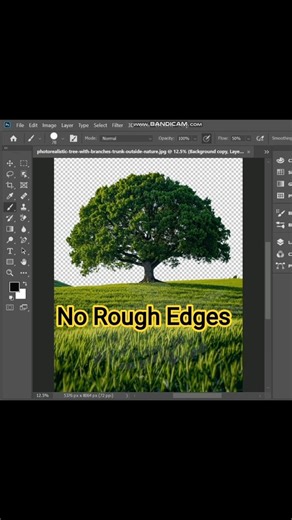 Remove Tree Background in Photoshop (Fast & Accurate) #photoshop #shorts #graphicdesignglobal
