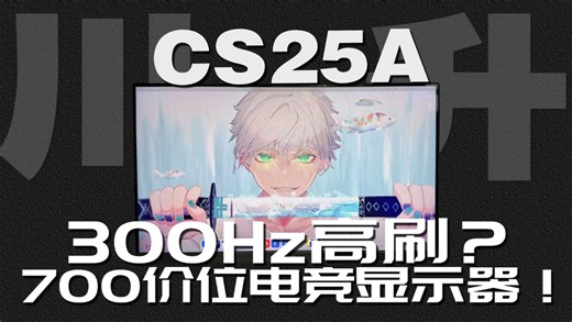 【送】700价位的300HZ高刷电竞显示器？！Fast ips面板，广色域—川升Cs25a
