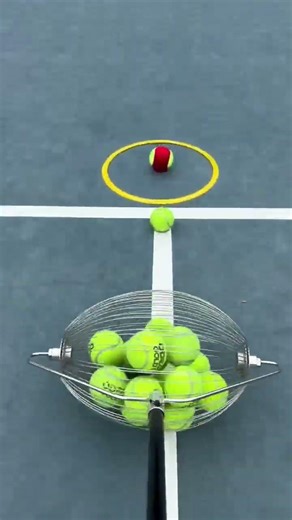 Tennis Ball Optimizer Pro Efficient Ball Collection Made Easy #smalleyes #catchascatchcan