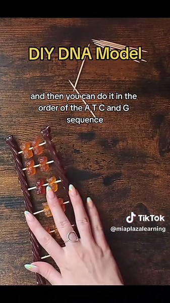 Here's a fun craft idea to do with kids of all ages! This DIY is featured as part of our Life Science course on DNA & Genetics. #homeschool #curriculum #homeschoolcurriculum #dna #science #diy #craft #kidscrafts #edutok #lifescience #sahm #onlinelearning #fypシ