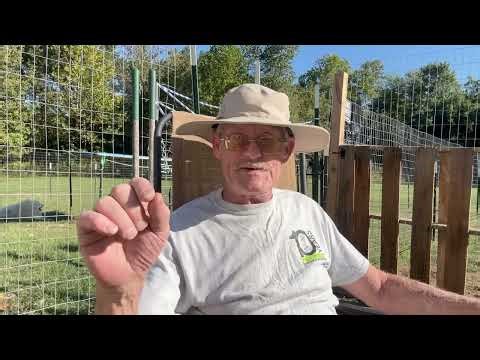 “Junk Fees and Corporate Greed: The $30 That Broke the Camel’s Back”