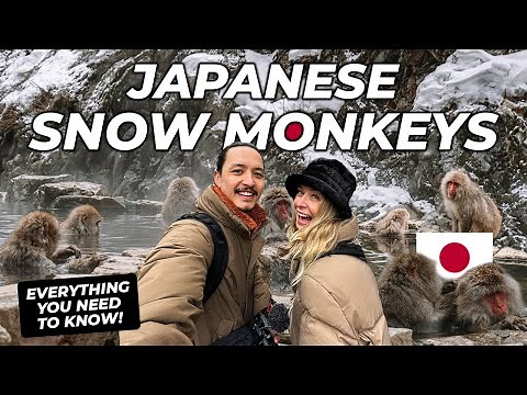 Japanese SNOW MONKEY Park | Winter trip to Nagano Japan vlog (EVERYTHING you need to know!)
