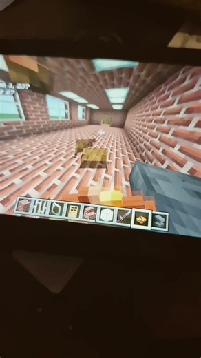 Nachos In minecraft (no mods)