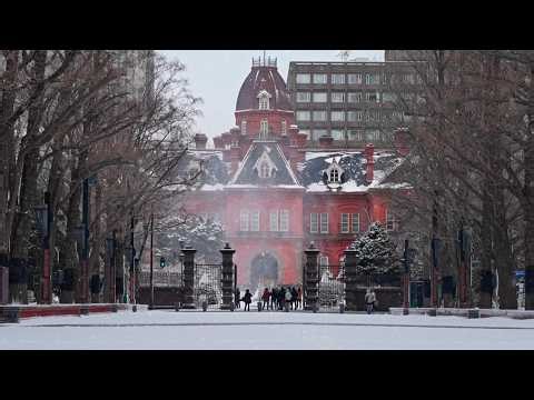 The Last Snow Walk in Sapporo, Hokkaido Japan | Goodbye Winter, Hello Spring