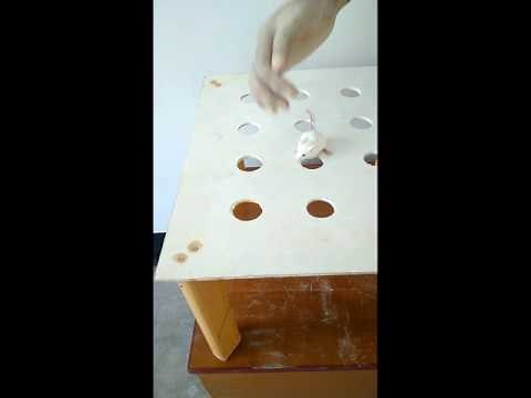 Hole Board Test (HBT) explained with the apparatus