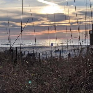 148 reactions · 5 comments | Happy Tuesday to you from Shell Island! | Shell Island Resort | Facebook