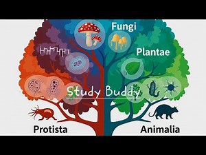 What is Domain Eukarya? | Full Classification with Examples | Easy Biology for Students