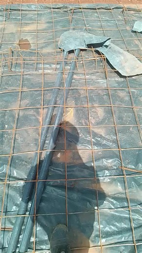 Sargent 🪂 (@sargentmartin2)’s videos with original sound - My Lyrics Official