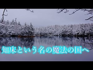 【北海道・知床】ヒグマが住む世界が美しすぎた！知床五胡の白銀に覆われた遊歩道を歩く4K