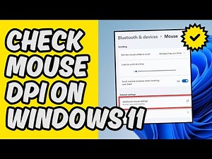 [Easy Guide] Check Mouse DPI on Windows 11