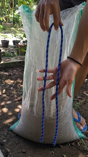 This Knot is Very Helpful 💯