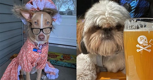 WCCO digital headlines: Afternoon of Jan. 24, 2023