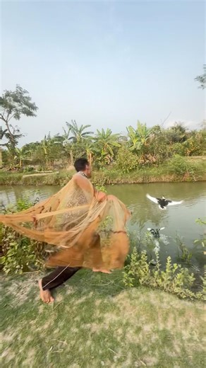 Wild duck bird hunting 🦆🦆🦆#shorts #fishingvideo #fishinglife #funny