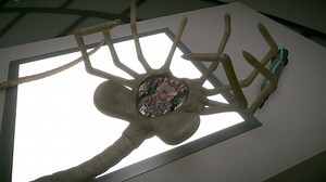 Alien Facehugger scene 05 - 3D model by marchermitte