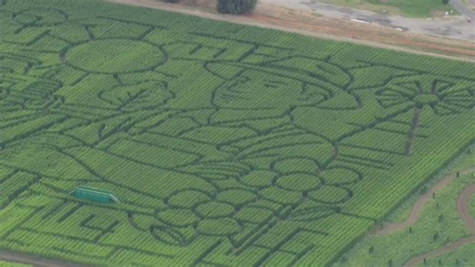 Dixon's giant corn maze at Cool Patch Pumpkins twice set records as the world's largest