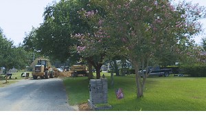 Escambia County man to lose cherished crape myrtle trees to new project