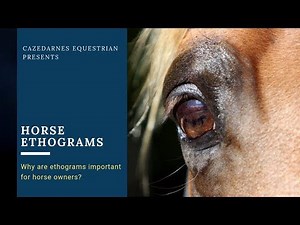 Horse Ethograms