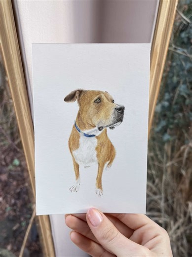 Cute Pet Portrait: Not a Dalmation, But Just as Adorable!