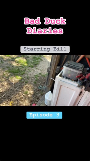 Homestead Heart | Caught Red Handed #homesteadlife #farmlife #homesteading | Instagram