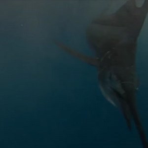 Check out this underwater fishing cam! GoFish cam | Ludicrous Gadgets