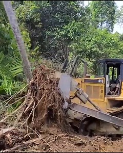 417K views · 4K reactions | Mastering the Land - CAT D7R Bulldozer Operator's Guide to Effortless Tree Uprooting | Bulldozer Forest | Facebook