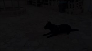 Nuestro socio del rceppa Diego Beltrán de Almería ya tiene a su hija de 9 añitos, Naydi, trabajando con Indala de Curro 😍😍😍 Gracias Diego por seguir inculcando a tus hijos el amor por el deporte y nuestros perritos FELICIDADES NAYDI LO HACES GENIAL !!! 👏👏👏👏😊 | Real CEPPA Pagina