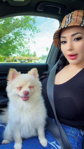 #viralvideo #fyp #tiktokviral #viral #tiktok