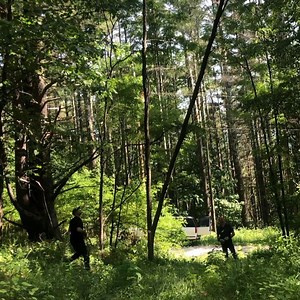 Today was a big day! Cut down 3 small locust trees that were close to the power to my new property up stars so the excavator can start the driveway next week! Thank you @reynopatrick for the help!! I can’t wait to get started on this project!! #make #maker #property #house #build #cabin #tinyhouse #treehouse | Make Everything | Facebook