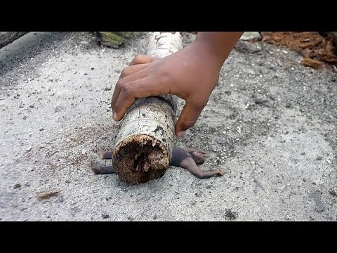Giantess My Beloved – Shrinking Husband with a Giant Women [ MY LOVE AND I ]