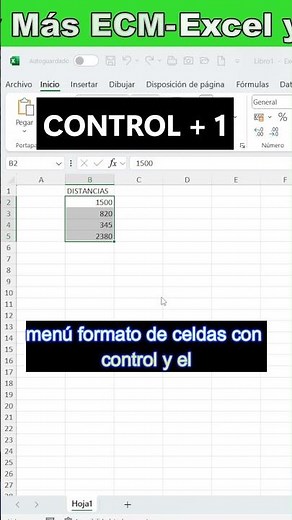 🎨 How to create a custom format in Excel
