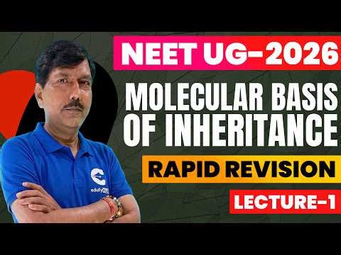NEET UG 2026 | Molecular Basis of Inheritance Lecture-2 🔥 | Rapid Revision + Important Questions