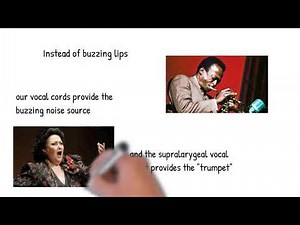 Articulatory Phonetics 6: Voicing