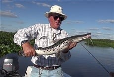 El escape del caburé - El Garage Online