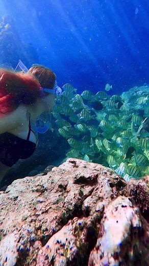 🩵 #ocean #underwater #freediver #freediving #asmr #asmrsounds #satisfyingsounds