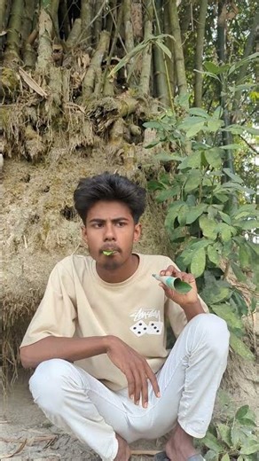 Pigeon trapping tactics...