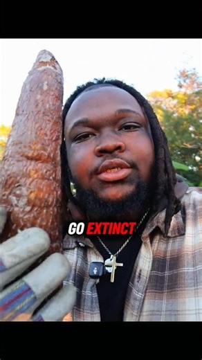 The Next Extinct Crop?