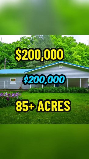 85 Acres Wooded Land with 3-Bedroom Home and Small Business Building