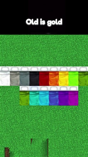 Old Is Gold 🥹❤️ | Minecraft #minecraft #old