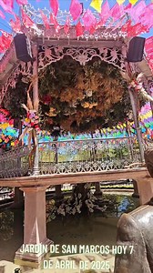 145K views · 3.6K reactions | 勞勞勞EL HERMOSO JARDÍN DE SAN MARCOS HOY 7 DE ABRIL DE 2025. NO ES POR PRESUMIR PERO... Aguascalientes 殺 | Aguascalientes de Mexico | Facebook